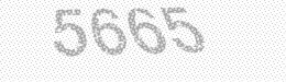Visual security code — type the characters shown in the image